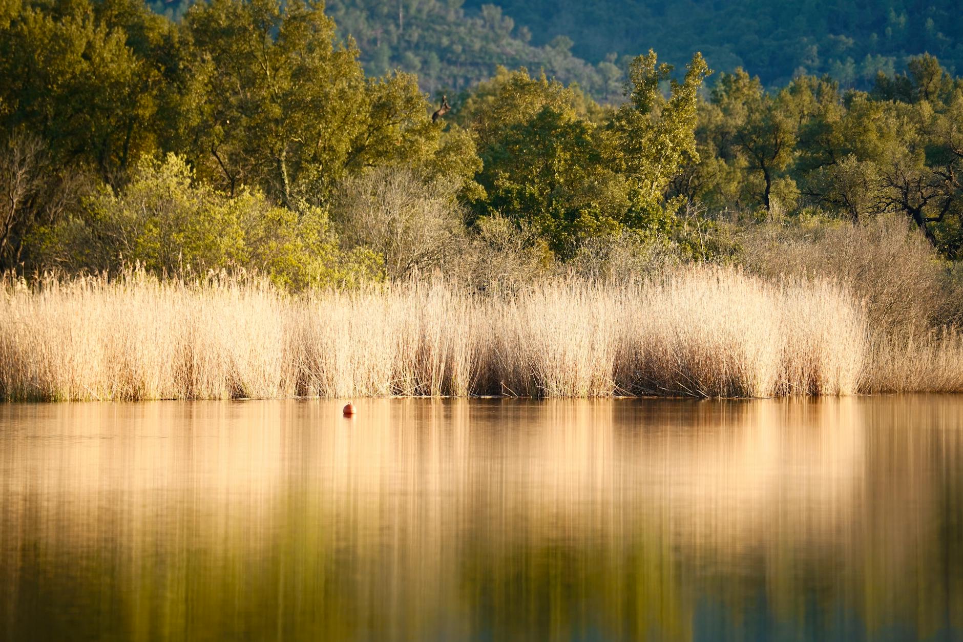 Understanding Intrusive Thoughts: Why Your Mind Creates Unwanted Ideas and How to Cope