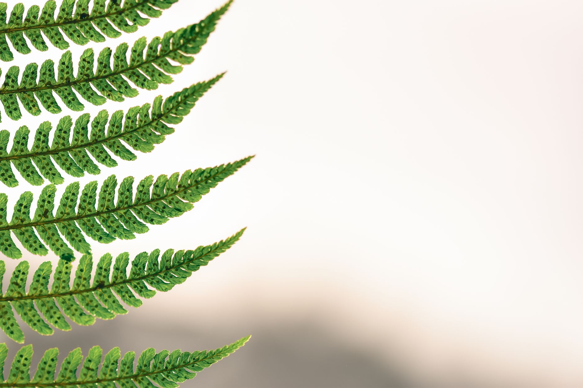 Understanding Post-Traumatic Growth: How Difficult Experiences Can Lead to Positive Change